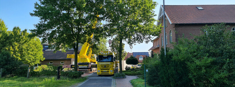 Kopfbild