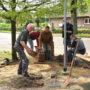 Newsmeldung